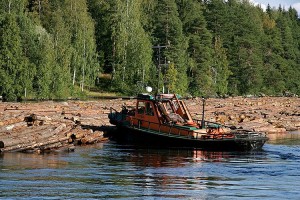 Pikku hinaaja Syväri puskee tukkilauttaa