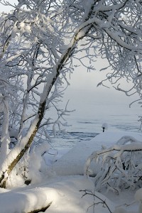 Laituri Konnuskoskessa