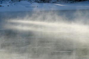 Valo siivilöityy puiden oksistossa