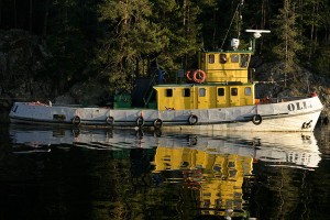 Hinaaja Olli Leppävirrassa