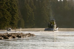 Tukkilautta etenee hinaaja Ollin vetämänä Leppävirrassa