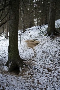 Supikoirien pesän aukot