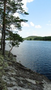 Jäkäläviidakon ABC-kirja