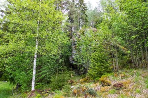 Lepikkomäen järkäleen luola, Saahkarlahti, Leppävirta