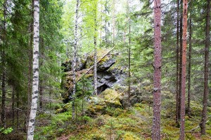 Lammaskivi ja Helkynkivet