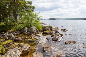 Iso-Pannusaaren tafoni, Sorsavesi, Leppävirta