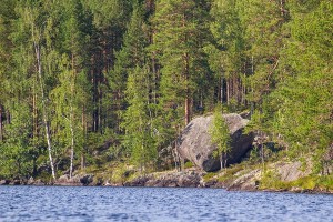 Iso-Hakosen siirtolohkare, Sorsavesi, Leppävirta