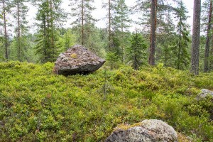 Kuvajanvuoren pöytäkivi, Sorsavesi, Leppävirta