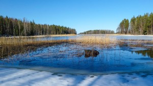 Vahvasti kevättä kohen