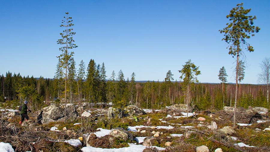 Jättiläisten temppeli kuvattuna alamäkeen