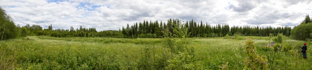 Kulhuanmaki hautaraunioalue