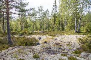 Heikinmäen pirun tarinat, Orinoro, Leppävirta