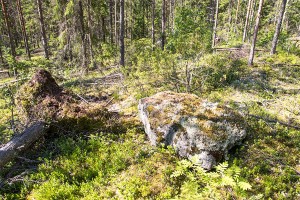 Venemäen kiikkukivet, Kotalahti, Leppävirta