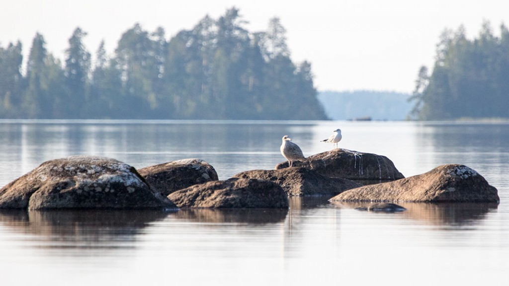 Utelias lokinpoika