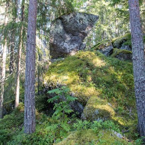 Havukkasaaren kivikummajaiset, Leppävirta