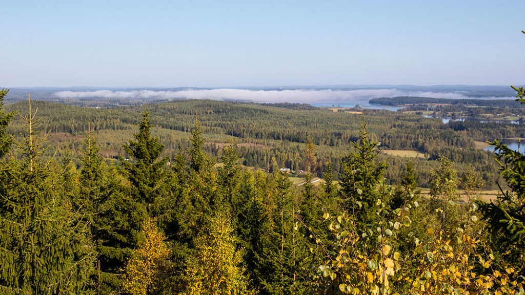 Näkymä Väisälänmäen näkötornista