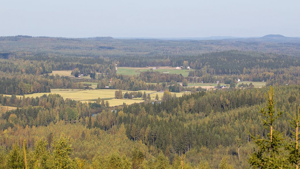 Näkymä Väisälänmäen näkötornista