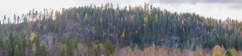 Hiisivuori, Heinävesi