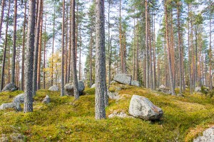 Syvävuori – megaliittikivien täyttämä vuori, Leppävirta