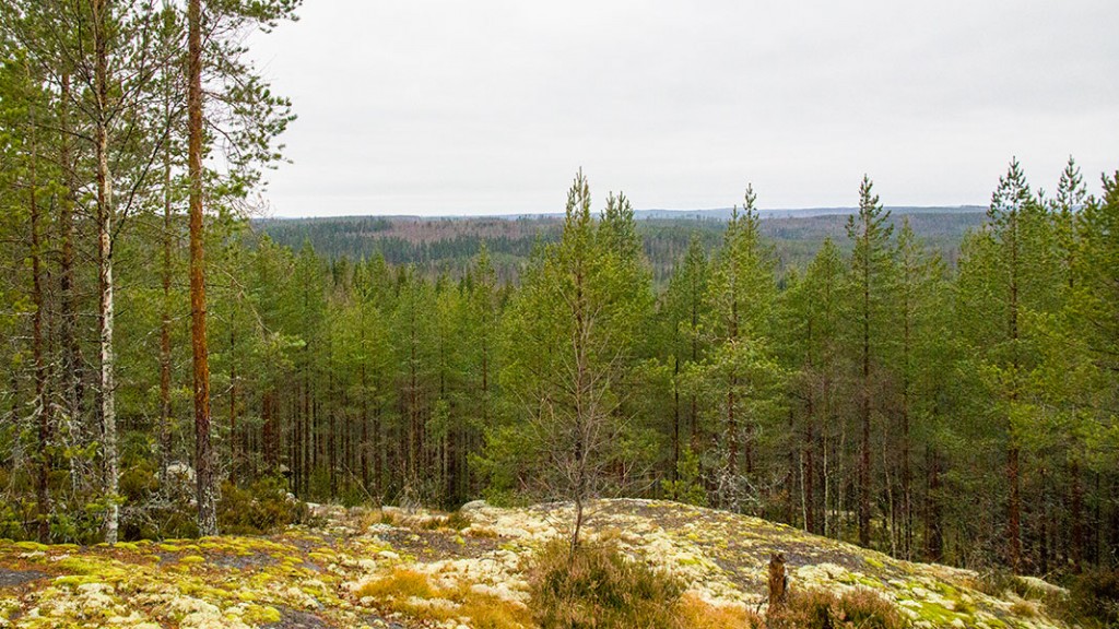 Iso Niinivuori, Rautalampi