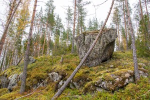 Pirunvuoren punainen piru, Leppävirta