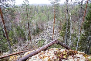 Vuorentausvuoren luolalöytö, Leppävirta