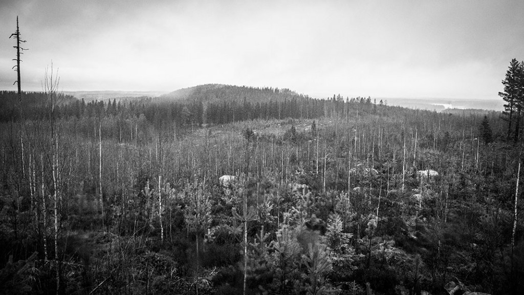 Paasivuori, Leppävirta