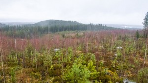 Paasivuoren paasikivi, Leppävirta