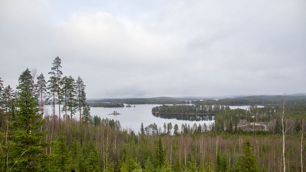 Paljakkavuori, Leppävirta