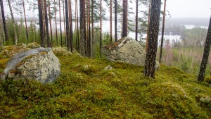 Paljakkavuoren pöytäkivi, Leppävirta