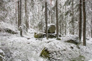 Ensiluminen Paljakkavuoren seitakivi, Leppävirta