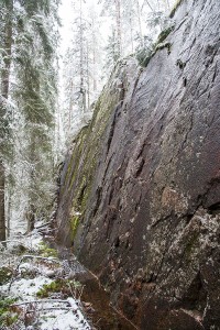 Paljakan jyrkänteillä, Leppävirta