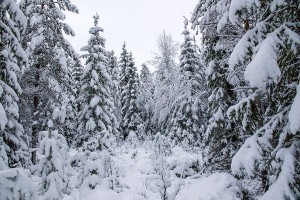 Romahtaneen Pirunkirkon mulkoileva piru, Leppävirta