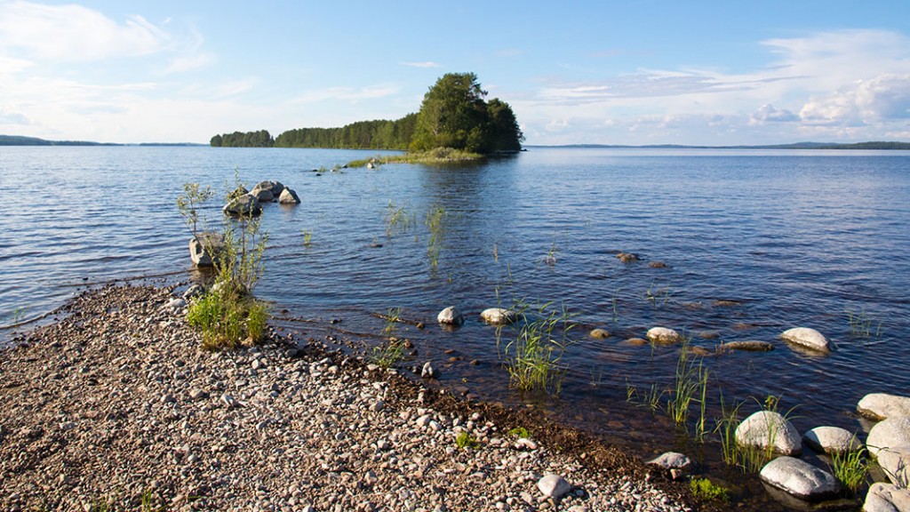 Kaiskunniemi, Koli, Lieksa