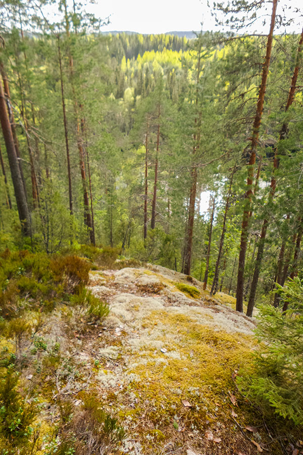 Maijootvuori, Jäpppilä