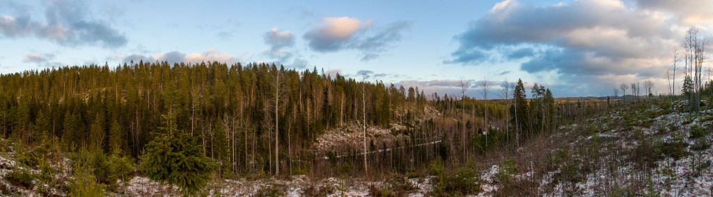 Lepuukivennoro, Leppävirta