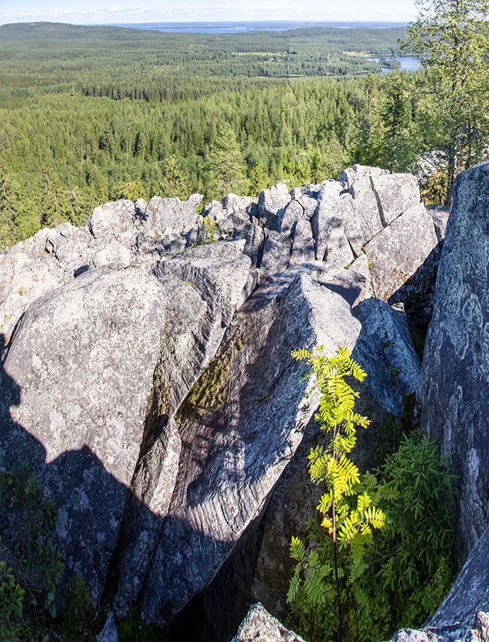 Ryläys, Kontiolahti