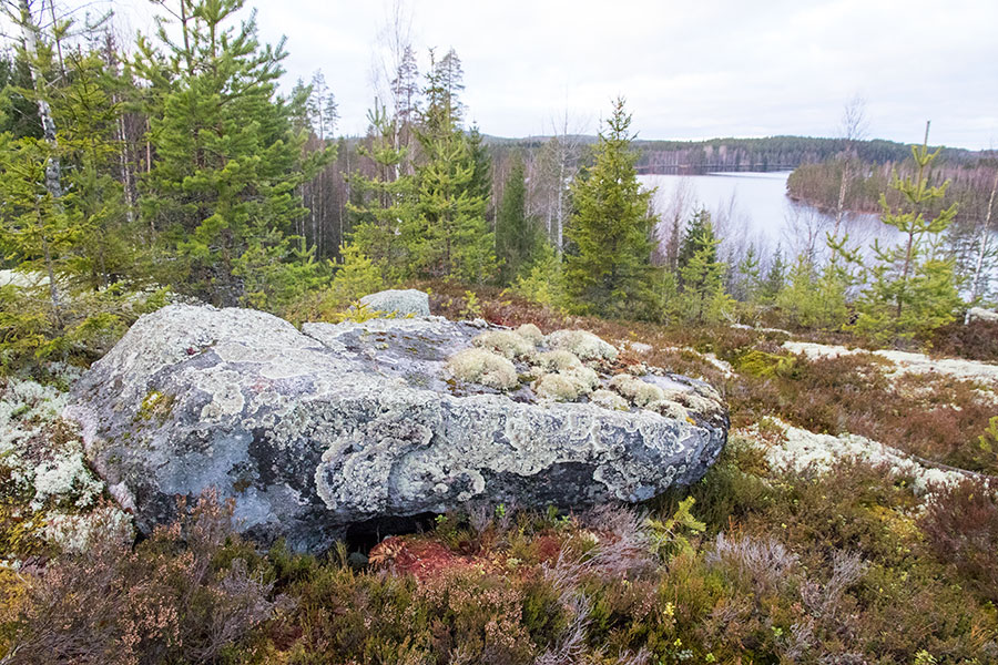 Polvijärven Kivilahenmäki, Heinävesi