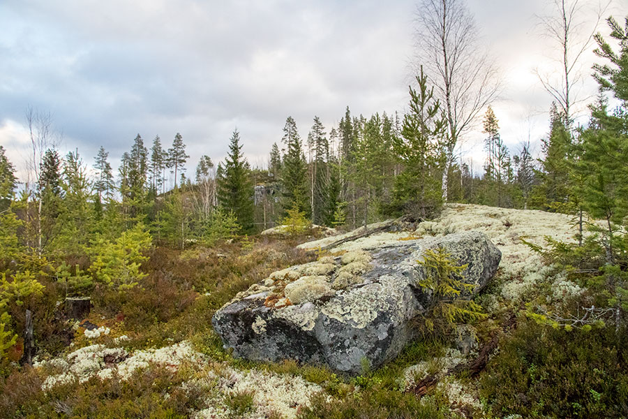 Polvijärven Kivilahenmäki, Heinävesi