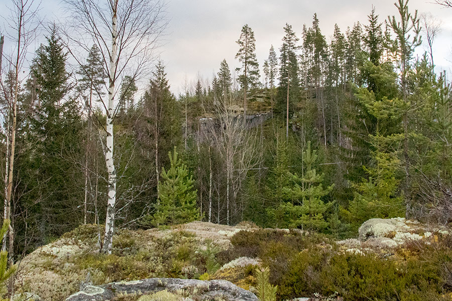 Polvijärven Kivilahenmäki, Heinävesi