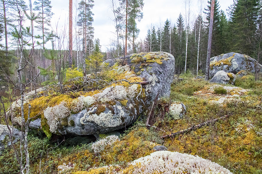 Polvijärven Kivilahenmäki, Heinävesi