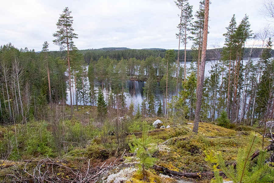 Polvijärven Kivilahenmäki, Heinävesi