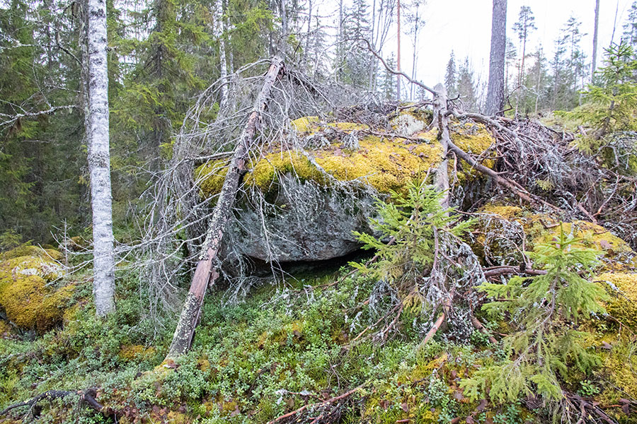 Polvijärven Kivilahenmäki, Heinävesi