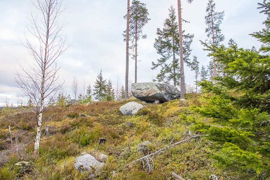 Polvijärven Kivilahenmäki, Heinävesi