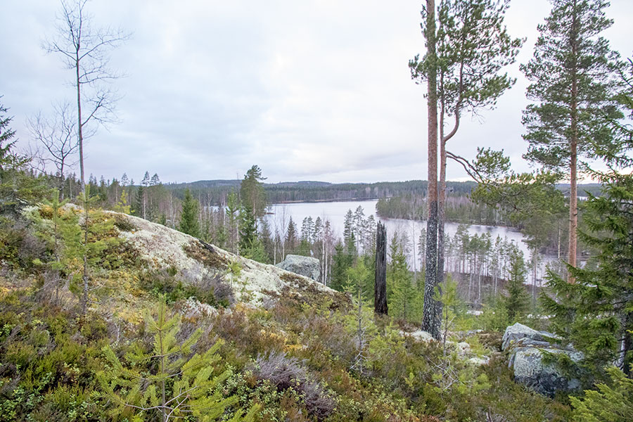 Polvijärven Kivilahenmäki, Heinävesi