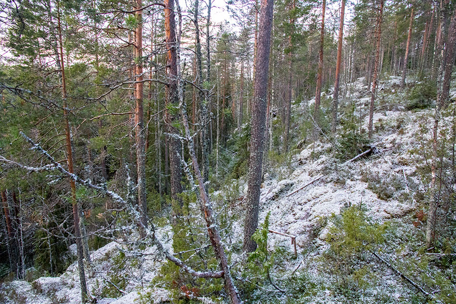 Lepuukivenrinne, Leppävirta