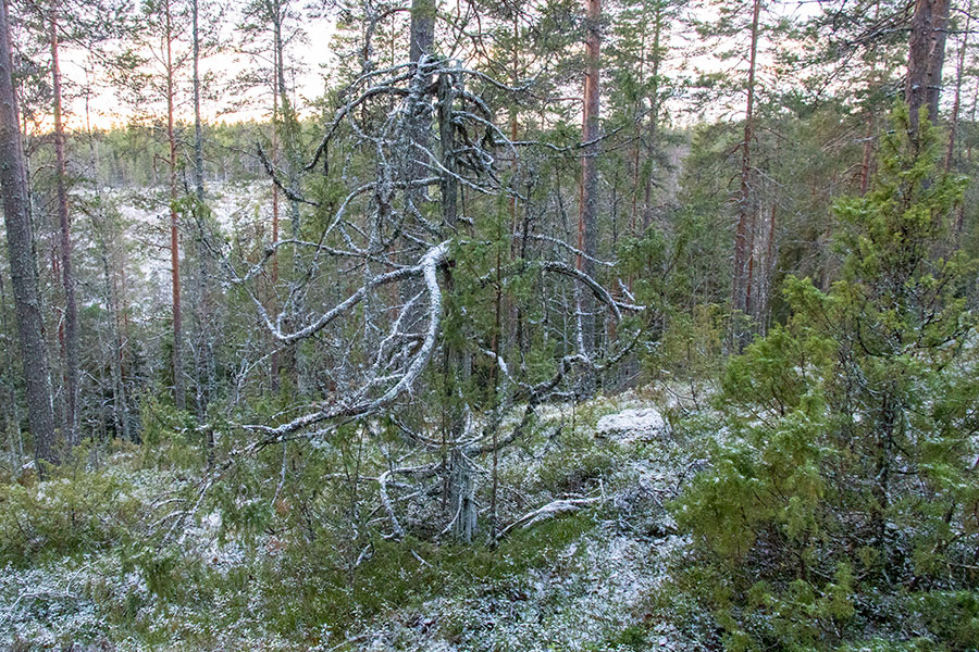 Lepuukivenrinne, Leppävirta