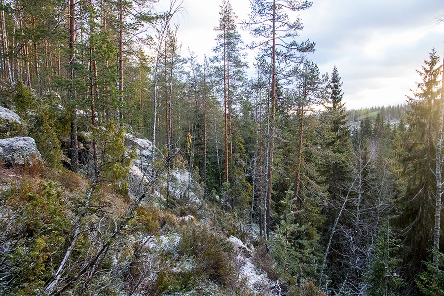 Lepuukivenrinne, Leppävirta