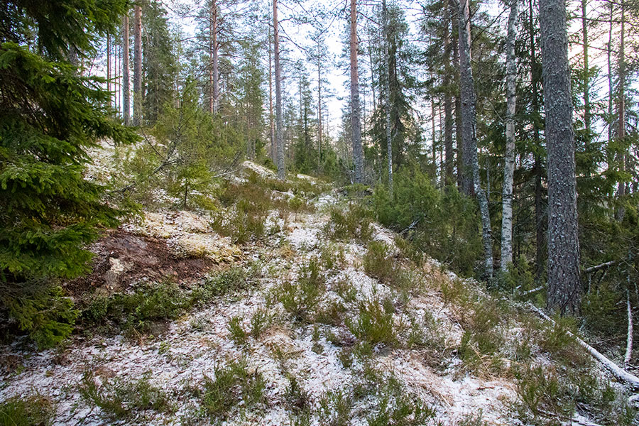 Lepuukivenrinne, Leppävirta