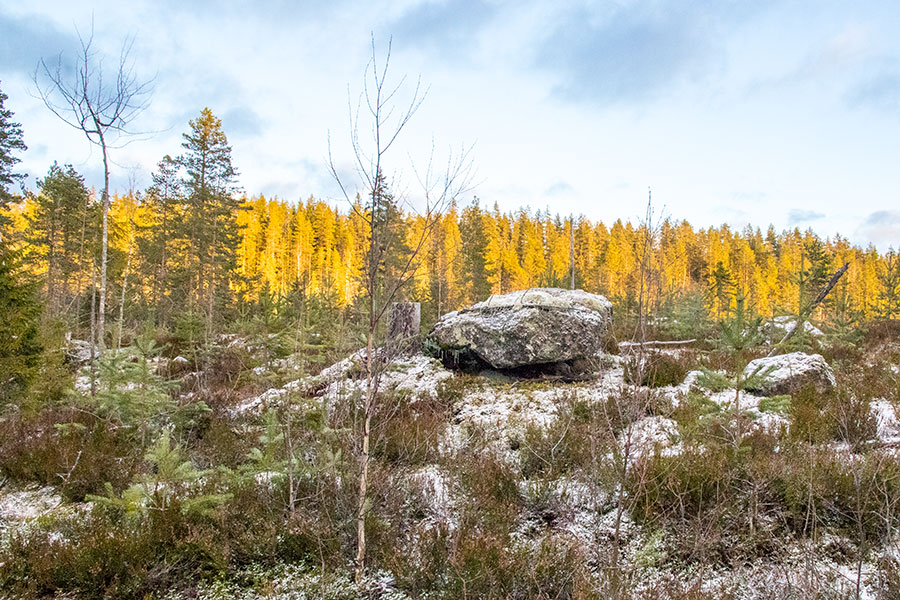 Lepuukivennoro, Leppävirta